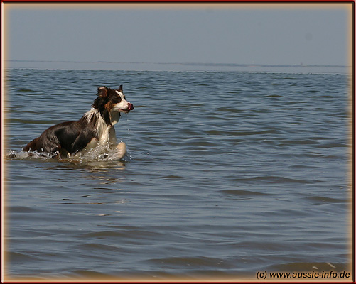 ras_0606_1